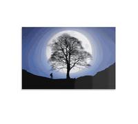 PLMoney Sycamore Gap Tree Art Canvas Prints of Modern Stretched Giclee Artwork Pictures Paintings on Canvas Wall Art for Bedroom Home Office Decorations 20x30inch(50x75cm)