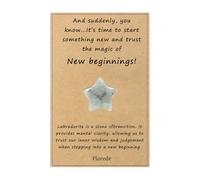 Plorede Labradorite Crystal Worry Stone for New Beginnings, Healing Crystals Gifts with Gift Card for Fresh Start, New Job, New Home, Healing Stone for Men Women (Five-Pointed Star)