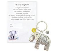 Plorede Memory Elephant Keyring & Card - Thank You Gift for Teacher, Nursery Practitioner, Teaching Assistant - Appreciation Gift for Educators, End of Year, Retirement