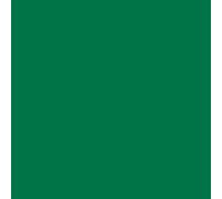 plottiX Perm. Vinyl Film 31.5 cm x 10 m Green