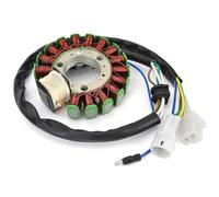 PLQAWRBT Generator Stator Coil Compatible with Yamaha TT-R225 1999-2004 | 1pcs Compatible with Yamaha XT225 Serow 2001-2007, ST225 Bronco 1997 4JG855100100 TTR225 4JG-85510-01