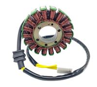 PLQAWRBT Magneto Generator Alternator Stator Coil Compatible with Honda | 1pcs Compatible with Honda VFR800 2002-2009