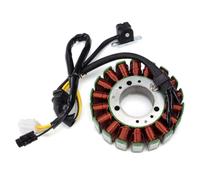 PLQAWRBT Magneto Generator Stator Coil Compatible with Triumph T1300039 | 1pcs Compatible with Triumph Daytona 675, Street Triple 675 2006-2017, Speed Triple R 675 2009-2012