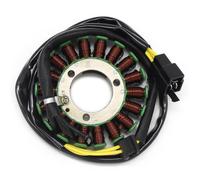 PLQAWRBT Magneto Stator Generator Coil Compatible with Suzuki 3140101D10 | 1pcs Compatible with Suzuki GS500 2001-2006, GS500F 2004-2011