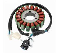 PLQAWRBT Road Passion Generator Stator Coil Compatible with Yamaha | 1pcs Compatible with Yamaha MT-03 2018-2018, XT660R, XT660X 2004-2014, XT660Z Tenere 2008-2015 5VK8141000