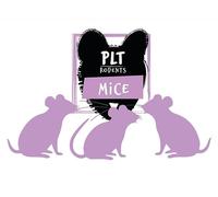PLT Rodents Premium Large Frozen Mice, 26g+, Pack of 10, Large Size, Snake and Reptile Food