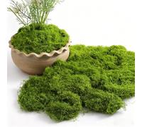 Pluaoeir Fake Moss - Artificial Moss for Indoor Plant Pots, Faux moss, Decorative Moss for Crafts, Christmas and Easter Decoration, Floristry, Model Making, Landscaping and More (Light Green, 150g)