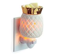 Plug In Wax Warmer - Pineapple