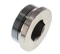 Plug M48 X 2 Steel NBR with Internal Hex 250bar (3512.5psi)
