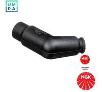 PLUG SPARK PLUG 7744
