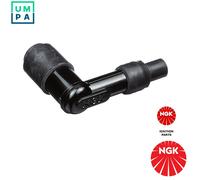 PLUG SPARK PLUG 8020