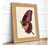 Plum Butterfly Study Botanical Framed Wall Art Print A2 Oak | Ready to Hang, Premium Gi Paper, Fade-Resistant Inks, Securely Packaged, UK Made