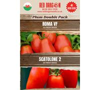 Plum Tomato Seeds Double Pack - 40 Fresh Seeds
