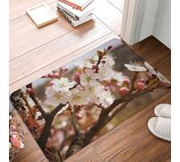 Plum Tree Blossom Door Mat Heavy Duty Indoor Outdoor Doormat Non-Slip Absorbent Dirt Trapper Entry Rug Low-Profile Washable Floor Mats Flannel Bath Mat 16 x 24 Inch