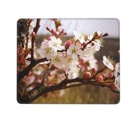Plum Tree Blossom Mouse Pad with Stitched Edge, Comfortable Mouse Pads with Non-Slip Rubber Base Gaming Mouse Mat Washable Mousepads Computers Laptop Desk Accessories for Office 10 x 12 inch