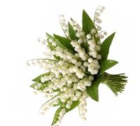 Plumaire 10 Pcs Artificial Flowers Of Lily Of The Valley, Artificial Flowers Vivid, Lily of The Valley Plastic Flower for Home Garden Party And Wedding Decoration