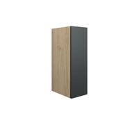 Plumb Warehouse Livorna 200mm Standard Toilet Roll Unit - Matt Graphite Grey (Oak Cabinet) Finish: Matt Graphite Grey (Oak Cabinet)