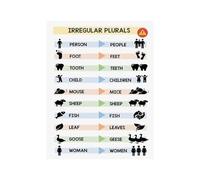 Plural Nouns Poster Irregular Plural English Grammar Chart Educational Wall Decor Canvas Art for School Office Home Study Room Teaching Aid(Framed,08X12inch(20X30cm))