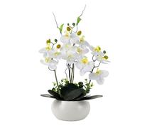 PlusFive Artificial Orchid Flowers in Ceramic Pot - Realistic White Silk Phalaenopsis Flower, 36cm Faux Orchid Plant for Indoor Home Decor, Table Centre Piece Decoration, Window Sill Decorations