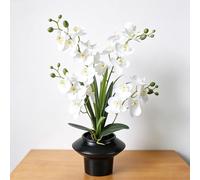 PlusFive Artificial Orchid Flowers in Pot 50cm - Realistic White Silk Phalaenopsis Flower, Faux Orchid Plant for Indoor Home Decor, Table Centre Piece Decoration, Window Sill Decorations