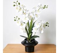 PlusFive Artificial Orchids in Pot - White Phalaenopsis Artificial Flowers Made of Silk, 50 cm Orchids Artificial Like Real for Interior Decoration Table Decoration Window Sill Decoration Housewarming