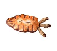Plush Bone Cat Toy, Realistic Cat Exercise Kick Toys, Interactive Simulated Fish Bone Toy, Fun Kitten Stuff Bone Toy for Cat Home Indoor, 6.5x2.36 Inches, 20g, Crystal Velvet, PP Cotton, Wood