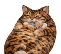 Plush Cat Print Envelope Sleeping Bag, Cat Sleeping Bag for Humans, Giant Plush Envelope Design with Soft Flannel Lining Self, Cute Cat Themed Warm Blanket for Home, Camping (B)