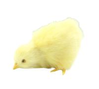 Plush Chick - Realistic Furry Animal Stuffed Chicken Decor | Small Plush Simulation Chick Plush Toy Plush Toy Educational Animal Learning Model Pelu Figure