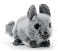 Plush & Company 15765 Chinchilla Plush Toy L.20 CM