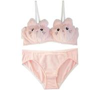 Plush Cute Sexy Home Set, Warm Plush Ladies Underwear, Cute Plush Cat Bear Gathering Padded Bra Panty Set (Pink,Small)