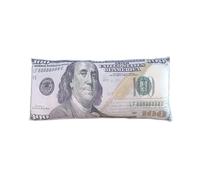 Plush Dollar Shaped Pillow, Money Pillow for Bed, Plush Pillow with Money | Cool Pillow, Aesthetic, Comfortable, Experience the Luxury of a $100 Large Pillow, Plush, a
