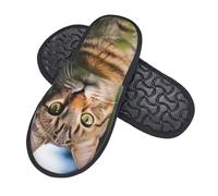 Plush Fleece Closed Toe House Shoes A Tabby Cat On The Grass Looking At The Camera Bedroom Socks Shoe Fluffy Indoor Bedroom Slippers For Guest, Spa, Travel L