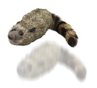 Plush Raccoon | Magic Tricks Spring Animal | Realistic Moving Spring Raccoon Magic Trick Built-In 9 Movements - for Stage Entertainment Party Birthday Christmas Holiday