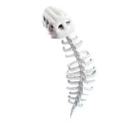 Plush Skeleton Dinosaur Halloween Cosplay Dress Up | Realistic Dinosaur Skeleton Costume Set,3D Design Cosplay Props For Adult Halloween