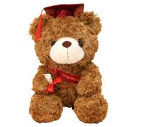 Plush Stuffed Graduation - Cute Plush Bear with Grad Cap - Cute Custom Brown Bear, Grad for Her, for Him, for College, High School
