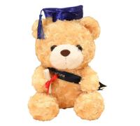 Plush Stuffed Graduation - Stuffed Graduation Bear with Black Cap - Cute Custom Brown Bear, Grad for Her, for Him, for College, High School