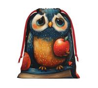 Plush Teacher-Book-Owl Christmas Drawstring Present Bags Large Size, Soft Velvet Goodie Bags With Red Ribbon Closure For Holiday Party Favors And Present Wrapping