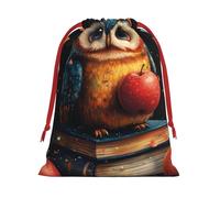 Plush Teacher-Owl-Book Christmas Drawstring Present Bags Large Size, Soft Velvet Goodie Bags With Red Ribbon Closure For Holiday Party Favors And Present Wrapping