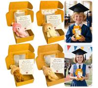 Plush Teddy Bear in Box, Crocheted Little Bears, Small Bear in Gift Box with Emotionally Encouraging Greeting Card, Hug, Graduation, Birthday, Back to School (4 Pieces)