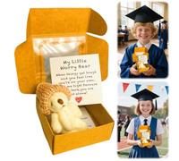 Plush Teddy Bear in Box, Crocheted Little Bears, Small Bear in Gift Box with Emotionally Encouraging Greeting Card, Hug, Graduation, Birthday, Back to School (B)