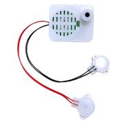 Plush Toy Recording Chip - Voice Message Box Module, Battery Operated Voice Recorder, Sound Recordes Board,Music Audio Cards | For Stuffed Animals DIY Craft Halloween Birthday Gift