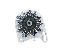 BV PSH 505.017.055.090 Alternator