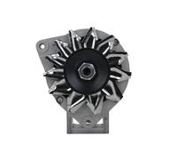 PlusLine Automobile Alternator 12 Volt 4600 Gram For Massey Ferguson 65A MG348+