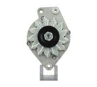 BV PSH 305.024.065.010 Alternator