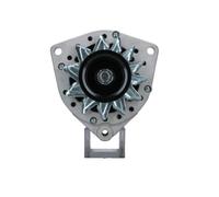 BV PSH 556.025.080.010 Alternator