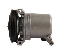 PlusLine Heavy Duty Aircon Compressor 4305 Gram 090015051+