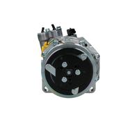 BV PSH 090.225.058.876 Air conditioning compressor