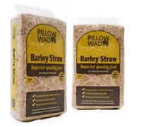Pluto Packaging 2 Bags Of Soft Highly Absorbent 2Kg Barley Straw Bedding Traps Heat & Keeps Pets & Animals Warm
