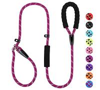 PLUTUS PET Dog Slip Lead, Anti-Choking with Traffic Padded 2 Handles, Reflective Strong Sturdy Heavy Duty Rope, 6FT/182cm for Training Medium Large Dogs (6' Purple)