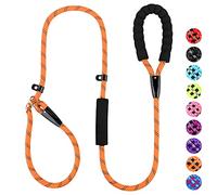 PLUTUS PET Dog Slip Lead, Anti-Choking with Traffic Padded 2 Handles, Reflective Strong Sturdy Heavy Duty Rope, 6FT/182cm for Training Medium Large Dogs (6' Orange)